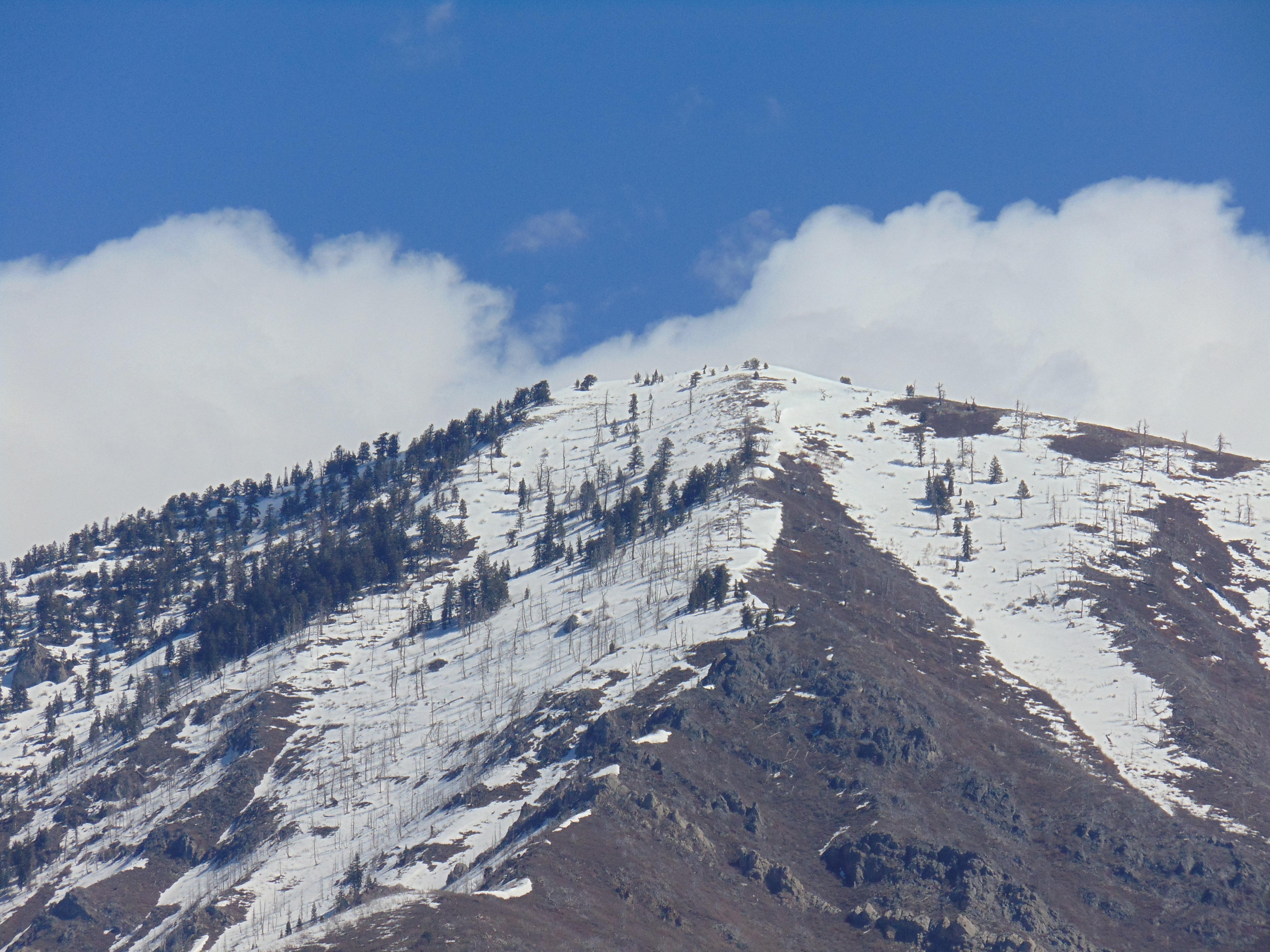 Holiday Inn Express & Suites Springville-South Provo Area By Ihg Екстериор снимка